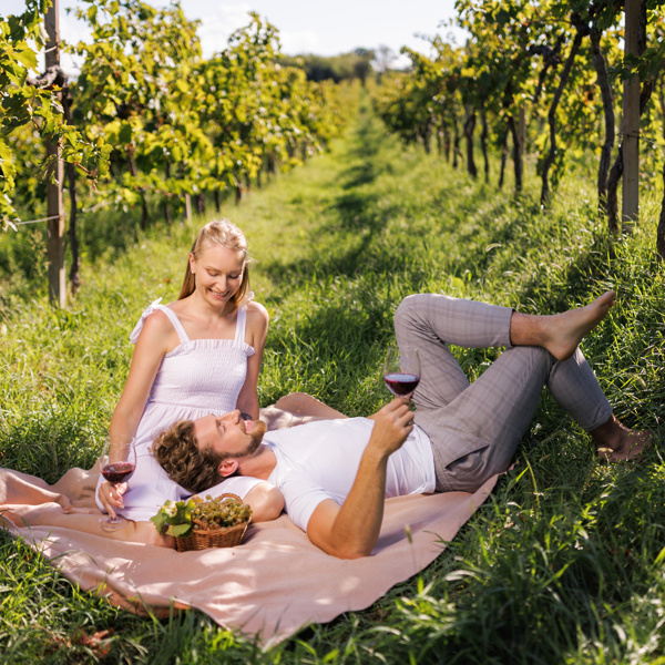 Doživetje med vinogradi