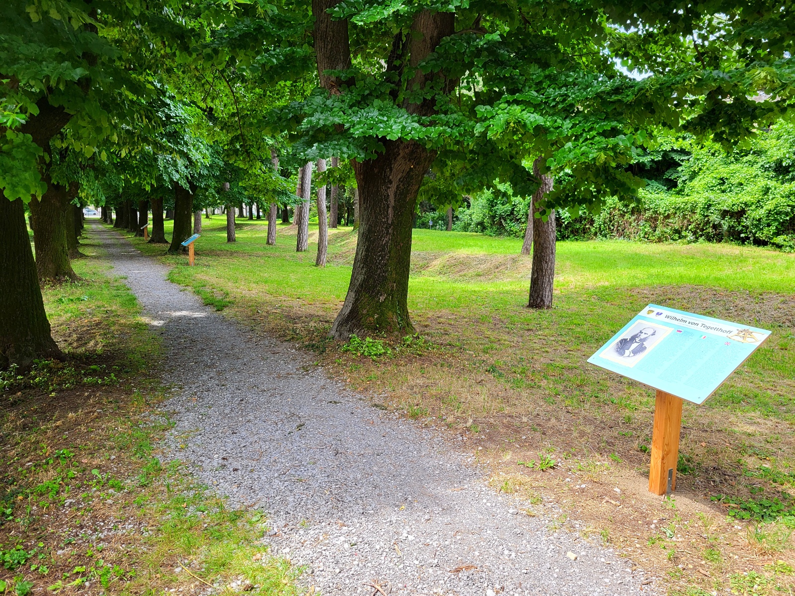 razstava, mors, drevored, pomoska zgodovina, vojska, vojaški muzej